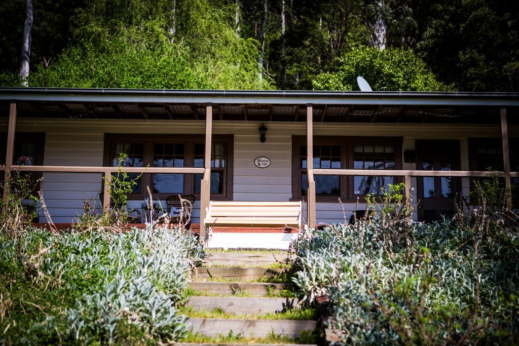 Bed and Breakfast Buttercup Hill Warburton Zewnętrze zdjęcie